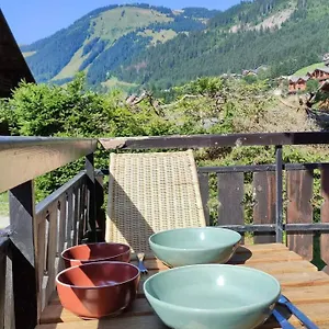 Studio Renove Et Lumineux Appartement Châtel